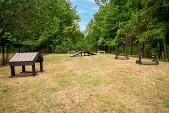 Pet park